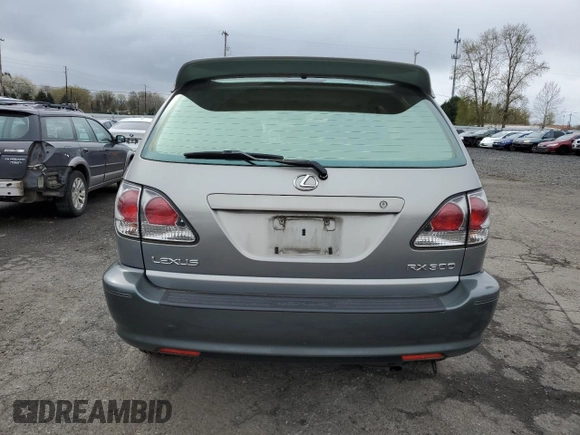 2001 Lexus RX 300 with VIN JTJHF10U810223492, listed as a Copart auction lot 51623115 with 124,459 mi miles and Salvage Title. Bid and sale history available at DreamBid. Image 6.