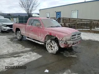 1999 Dodge Dakota SLT with VIN 1B7GG22X1XS163478, listed as a Copart auction lot 88742795 with 205,334 mi miles and Salvage Title. Bid and sale history available at carsss.com. Image 11.