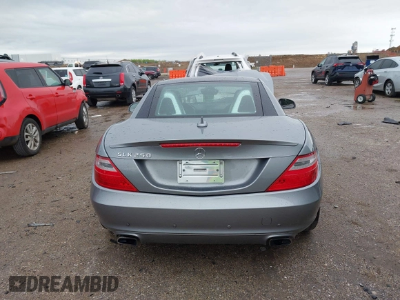 2014 Mercedes-Benz SLK 250 with VIN WDDPK4HA6EF084283, listed as a IAAI auction lot 41927893 with 32,143 mi miles and . Bid and sale history available at DreamBid. Image 16.