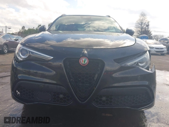 2020 Alfa Romeo Stelvio Ti z VIN ZASPAKBN7L7C92393, wystawiony jako IAAI lot #41824452 z przebiegiem 53 616 mil mil oraz . Historia ofert i sprzedaży dostępna na DreamBid. Obrazek 12.