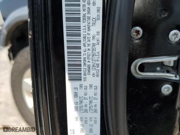 2009 Dodge Ram 1500 SLT with VIN 1D3HV13T79S735700, listed as a Copart auction lot 66164584 with 188,671 mi miles and Salvage Title. Bid and sale history available at carsss.com. Image 13.