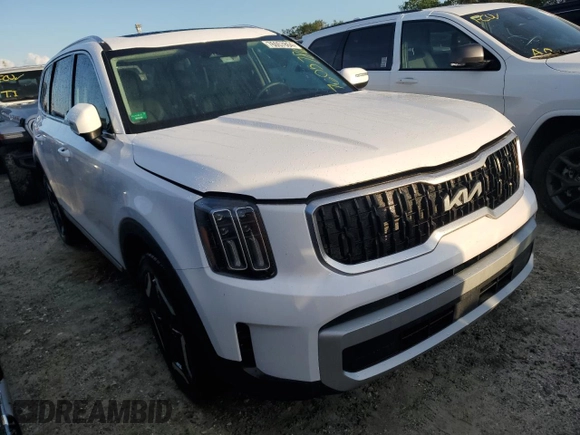 2024 Kia Telluride EX with VIN 5XYP3DGC1RG477153, listed as a Copart auction lot 76057864 with Not Provided miles and Non Repairable. Bid and sale history available at carsss.com. Image 4.