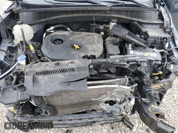 2019 Hyundai Tucson SE with VIN KM8J2CA46KU000559, listed as a Copart auction lot 45143875 with 0 mi miles and Salvage Title. Bid and sale history available at carsss.com. Image 13.