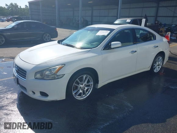 2011 Nissan Maxima SV with VIN 1N4AA5AP4BC854958, listed as a IAAI auction lot 42466528 with 229,955 mi miles and . Bid and sale history available at DreamBid. Image 2.