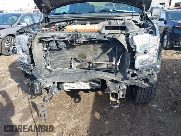 2017 Ford F-150 XL with VIN 1FTEW1EP7HFB65004, listed as a IAAI auction lot 41876164 with 105,487 mi miles. Bid and sale history available at carsss.com. Image 6.