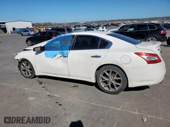 2011 Nissan Maxima SV with VIN 1N4AA5APXBC855595, listed as a Copart auction lot 49294615 with Not Provided miles and Salvage Title. Bid and sale history available at DreamBid. Image 2.