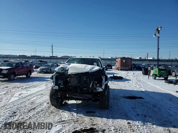 2024 Nissan Frontier S with VIN 1N6ED1CM4RN654866, listed as a Copart auction lot 42084015 with Not provided miles and Salvage title. Bid and sale history available at DreamBid. Image 10.