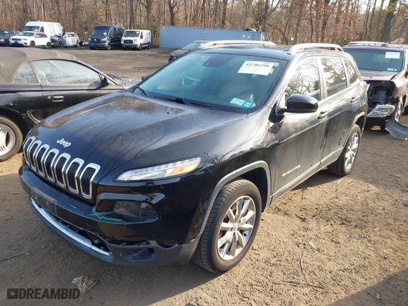 2017 Jeep Cherokee Limited with VIN 1C4PJMDS3HW562028, listed as a IAAI auction lot 41786590 with 80,589 mi miles. Bid and sale history available at carsss.com. Image 18.