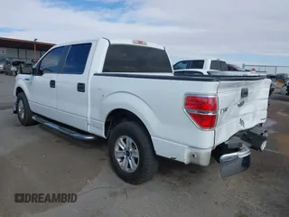 2011 Ford F-150 XL with VIN 1FTEW1CM0BFC15564, listed as a IAAI auction lot 41710176 with 143,554 mi miles and . Bid and sale history available at DreamBid. Image 3.