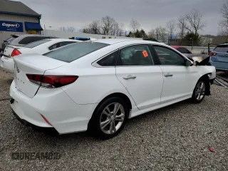 2019 Hyundai Sonata SEL with VIN 5NPE34AF1KH762699, listed as a Copart auction lot 49857895 with Not Provided miles and Non Repairable. Bid and sale history available at DreamBid. Image 3.