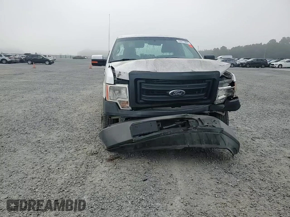 2014 Ford F-150 XL with VIN 1FTMF1CM7EKD61547, listed as a Copart auction lot 74311804 with 175,203 mi miles and Salvage title. Bid and sale history available at DreamBid. Image 11.