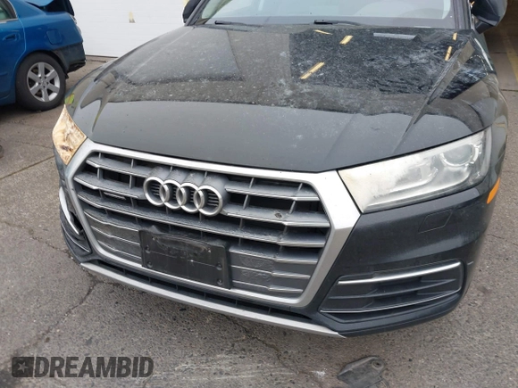2019 Audi Q5 Premium with VIN WA1ANAFY5K2039094, listed as a IAAI auction lot 41333509 with 45,956 mi miles. Bid and sale history available at carsss.com. Image 16.