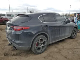 2019 Alfa Romeo Stelvio Ti with VIN ZASPAKBN4K7C42498, listed as a Copart auction lot 43219645 with 102,115 mi miles and Clean title. Bid and sale history available at DreamBid. Image 3.