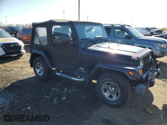 2003 Jeep Wrangler X with VIN 1J4FA39S33P357059, listed as a Copart auction lot 48983315 with 166,532 mi miles and Salvage title. Bid and sale history available at DreamBid. Image 4.