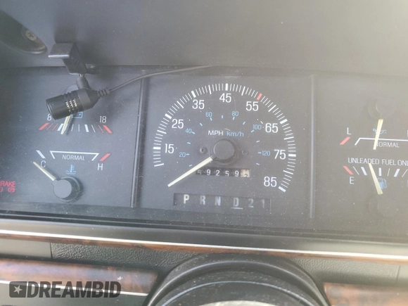 1989 Ford F-150 with VIN 1FTEF14H0KKA14224, listed as a Copart auction lot 48023255 with 59,259 mi miles and Clean Title. Bid and sale history available at carsss.com. Image 9.