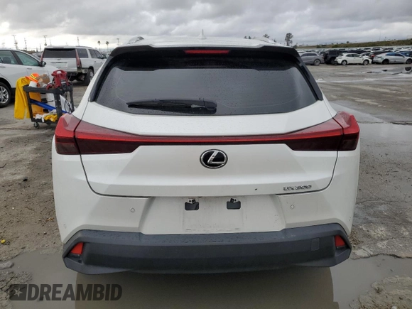 2021 Lexus UX 200 with VIN JTHX3JBHXM2040304, listed as a Copart auction lot 49006725 with 51,543 mi miles and Salvage title. Bid and sale history available at DreamBid. Image 6.