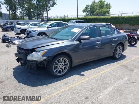2013 Nissan Maxima S with VIN 1N4AA5AP5DC843874, listed as a IAAI auction lot 42495096 with 250,093 mi miles and . Bid and sale history available at DreamBid. Image 19.