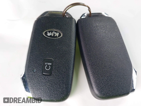 2021 Kia Telluride SX with VIN 5XYP5DHC1MG125062, listed as a IAAI auction lot 42412717 with Not provided miles and . Bid and sale history available at DreamBid. Image 11.