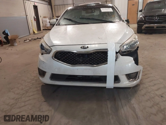 2015 Kia Cadenza Premium with VIN KNALN4D77F5194340, listed as a IAAI auction lot 41360457 with 132,534 mi miles. Bid and sale history available at carsss.com. Image 12.