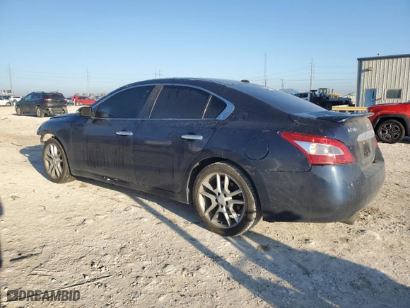 2010 Nissan Maxima 3.5 SV w/Premium Pkg with VIN 1N4AA5AP4AC843747, listed as a Copart auction lot 46432235 with 0 mi miles and Salvage Title. Bid and sale history available at carsss.com. Image 2.