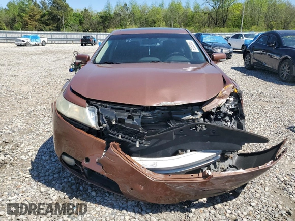 2009 Acura TL Tech with VIN 19UUA86519A003840, listed as a Copart auction lot 52365865 with 256,973 mi miles and Clean Title. Bid and sale history available at carsss.com. Image 5.