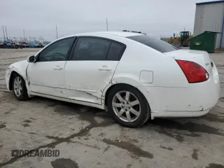 2006 Nissan Maxima 3.5 SE with VIN 1N4BA41E16C842768, listed as a Copart auction lot 44319175 with 175,065 mi miles and Salvage Title. Bid and sale history available at carsss.com. Image 2.