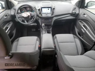 2019 Ford Escape SE with VIN 1FMCU0GD5KUB04825, listed as a Copart auction lot 48817285 with 38,902 mi miles and Salvage Title. Bid and sale history available at carsss.com. Image 8.
