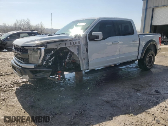 2023 Ford F-150 Raptor with VIN 1FTFW1RG4PFA13033, listed as a Copart auction lot 50504635 with 16,424 mi miles and Non Repairable. Bid and sale history available at DreamBid. Image 1.