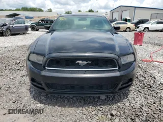 2013 Ford Mustang V6 с VIN 1ZVBP8AM5D5231065, выставлен на аукционе Copart как лот 60609505 с пробегом 228 509 миль миль и Списание • Salvage title. История ставок и продаж доступна на DreamBid. Изображение 5.
