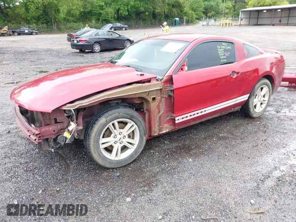 2012 Ford Mustang Premium with VIN 1ZVBP8AM6C5260105, listed as a IAAI auction lot 42244372 with 227,704 mi miles and . Bid and sale history available at DreamBid. Image 2.