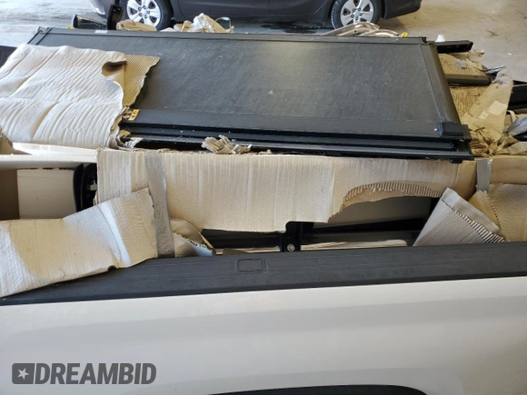 2021 Chevrolet Silverado 1500 with VIN BS81639404, listed as a Copart auction lot 81639404 with Not Provided miles and Clean Title. Bid and sale history available at DreamBid. Image 10.