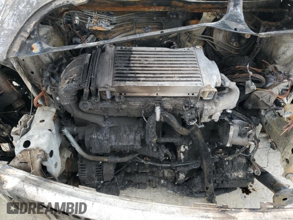 2006 MINI Convertible S with VIN WMWRH33536TK59031, listed as a Copart auction lot 51598825 with Not provided miles and Salvage title. Bid and sale history available at DreamBid. Image 12.