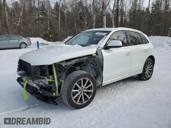 2017 Audi Q5 с VIN WA1V2AFP8HA038358, выставлен на аукционе Copart как лот 43682885 с пробегом 123 757 миль миль и Списание • Salvage title. История ставок и продаж доступна на DreamBid. Изображение 1.