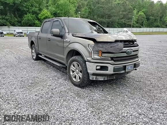 2019 Ford F-150 XL with VIN 1FTEW1E50KKC39280, listed as a Copart auction lot 53943915 with Not provided miles and Salvage title. Bid and sale history available at DreamBid. Image 13.