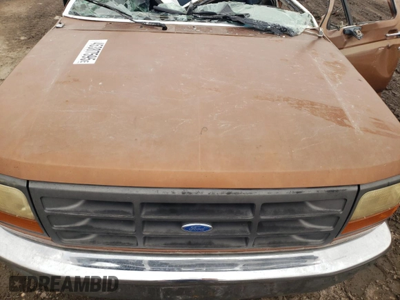 1994 Ford F-150 with VIN 2FTEF15N4RCA56009, listed as a Copart auction lot 45387595 with 0 mi miles and Salvage Title. Bid and sale history available at carsss.com. Image 12.