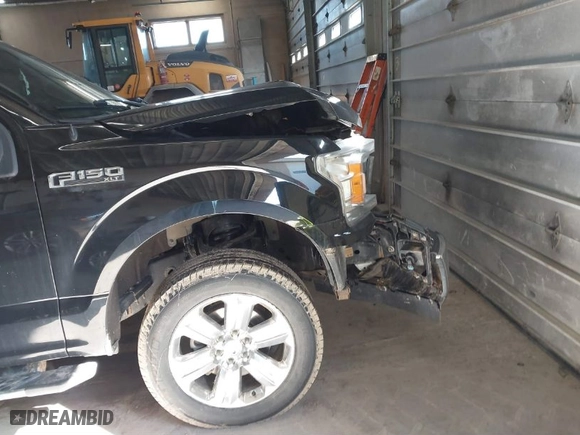 2018 Ford F-150 XL with VIN 1FTEW1EG5JFA04916, listed as a IAAI auction lot 41885145 with 147,654 mi miles. Bid and sale history available at carsss.com. Image 6.
