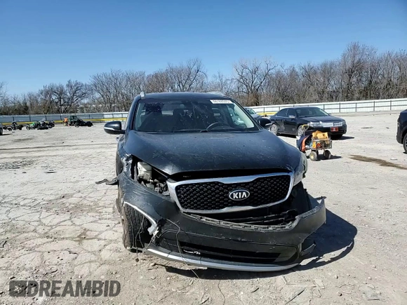 2016 Kia Sorento EX with VIN 5XYPH4A5XGG015778, listed as a Copart auction lot 48188045 with 179,479 mi miles and Salvage Title. Bid and sale history available at DreamBid. Image 12.