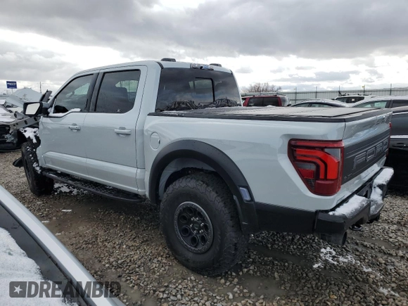 2024 Ford F-150 Raptor with VIN 1FTFW1RGXRFB06240, listed as a Copart auction lot 48020095 with Not Provided miles and Salvage Title. Bid and sale history available at DreamBid. Image 2.
