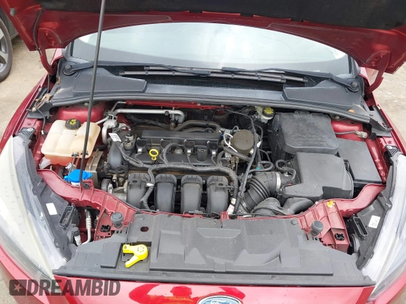 2016 Ford Focus SE with VIN 1FADP3F24GL249455, listed as a IAAI auction lot 40421121 with 49,043 mi miles. Bid and sale history available at carsss.com. Image 10.
