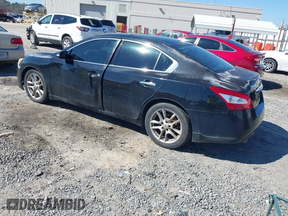 2010 Nissan Maxima SV with VIN 1N4AA5AP1AC802136, listed as a IAAI auction lot 41655417 with 236,285 mi miles and . Bid and sale history available at DreamBid. Image 3.