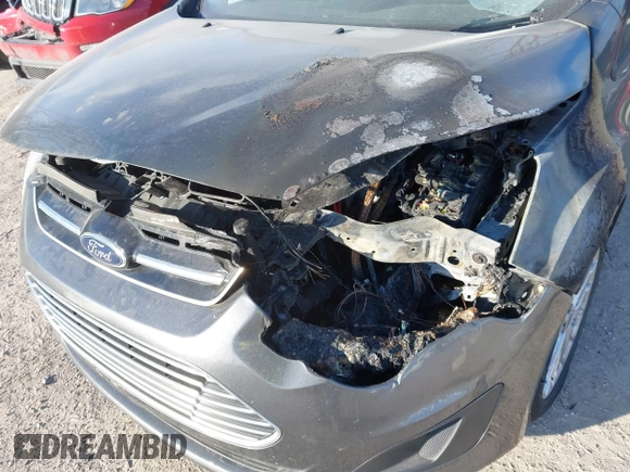 2016 Ford C-Max SE with VIN 1FADP5AU6GL116636, listed as a IAAI auction lot 41369977 with Not Provided miles and . Bid and sale history available at DreamBid. Image 6.
