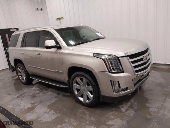2017 Cadillac Escalade Luxury with VIN 1GYS4BKJ5HR254402, listed as a IAAI auction lot 41492160 with 76,419 mi miles. Bid and sale history available at carsss.com. Image 1.