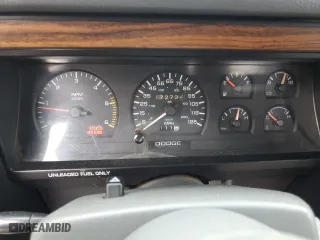 1993 Dodge Dakota with VIN 1B7FL23X4PS285239, listed as a Copart auction lot 46737855 with 172,732 mi miles and Clean Title. Bid and sale history available at carsss.com. Image 9.