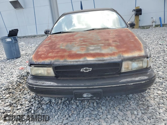 1995 Chevrolet Caprice with VIN 1G1BL52P7SR182763, listed as a Copart auction lot 55635055 with Not Provided miles and Clean Title. Bid and sale history available at DreamBid. Image 5.