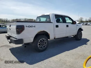 2010 Ford F-150 XL with VIN 1FTFW1EV6AKE26946, listed as a Copart auction lot 53942875 with 217,777 mi miles and Salvage Title. Bid and sale history available at carsss.com. Image 3.