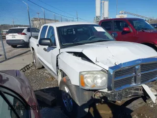 2005 Dodge Dakota Laramie with VIN 1D7HW58N35S189677, listed as a IAAI auction lot 41335613 with 159,501 mi miles and . Bid and sale history available at DreamBid. Image 1.