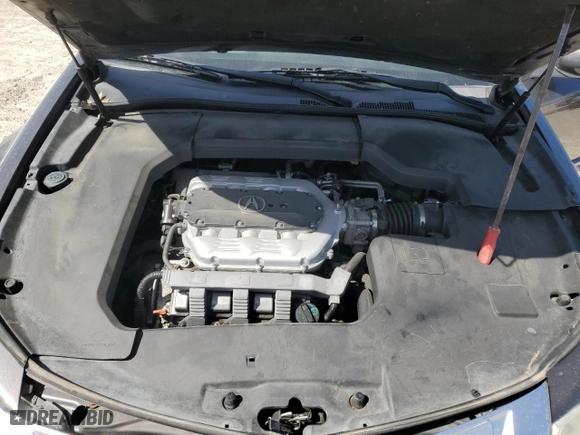 2009 Acura TL Tech with VIN 19UUA86539A001782, listed as a Copart auction lot 48087555 with 227,301 mi miles and Salvage Title. Bid and sale history available at carsss.com. Image 12.