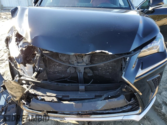 2018 Lexus NX with VIN JTJBARBZ0J2151803, listed as a Copart auction lot 43725645 with 141,170 mi miles and Salvage Title. Bid and sale history available at carsss.com. Image 13.