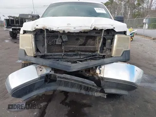 2013 Ford F-150 XL with VIN 1FTFW1EF1DKD13578, listed as a IAAI auction lot 41590263 with 192,230 mi miles and . Bid and sale history available at DreamBid. Image 6.
