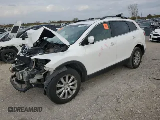 2009 Mazda CX-9 Grand Touring with VIN JM3TB38V390174464, listed as a Copart auction lot 78080584 with 0 mi miles and Salvage Title. Bid and sale history available at carsss.com. Image 1.